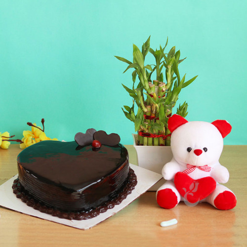 Love Note: A Gift Combo of 0.5 Kg Heart Shape Chocolate Cake, 6 Inch Teddy, and One Lucky Bamboo