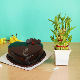 Love-Luck creation: A Gift Combo of 0.5 Kg Heart Shape Chocolate Cake and One Lucky Bamboo