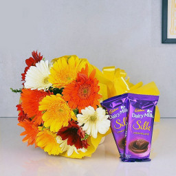 Gerberas Enchantment: A Gift Combo of 10 Mix Gerberas and 2 Dairy Milk Silk