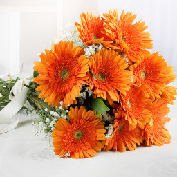 Bright Orange Gerberas - Orange gerberas bouquet