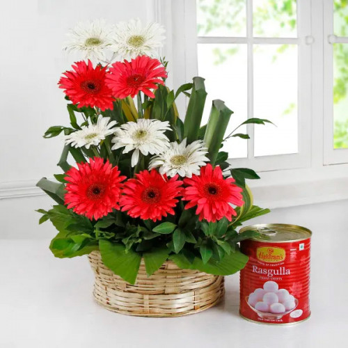 Rasgulla with Gerberas Arrangement: A Gift Combo of 6 Red Gerberas, 3 White Gerberas in a Basket, and 1 Kg Rasgulla