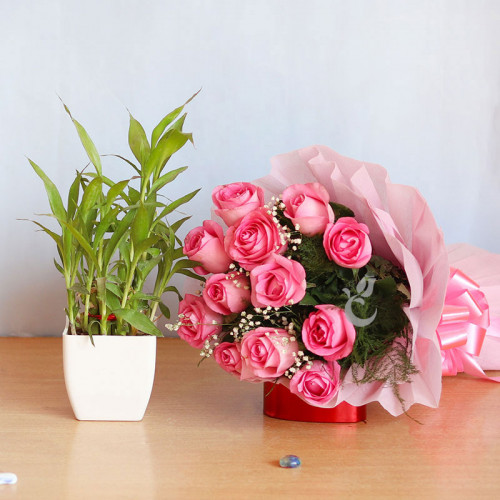 Blush & Luck: A Gift Combo of 10 pink roses and 2 layer lucky bamboo plant