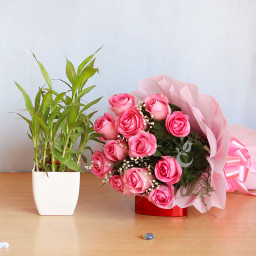 Blush & Luck: A Gift Combo of 10 pink roses and 2 layer lucky bamboo plant