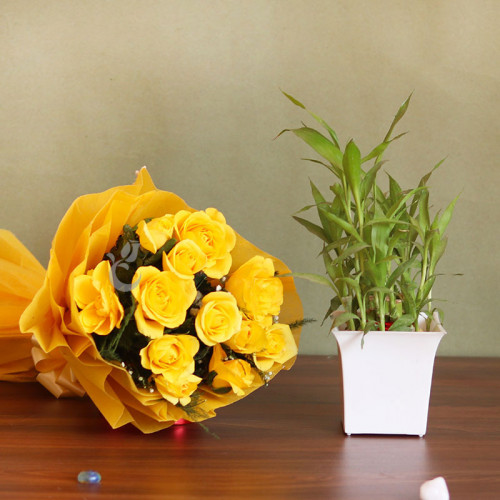 Cheerful Congratulations: A Gift Combo of 12 yellow roses and 2 layer lucky bamboo plant