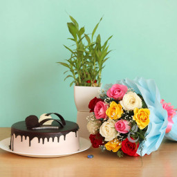 Say It With Flowers: A Gift Combo of 12 mixed roses, 0.5 Kg chocolate truffle cake and 2 layer lucky bamboo plant