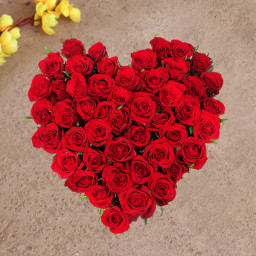 Joyous Gesture - Red rose arrangement