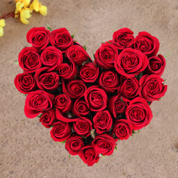 Love Overjoyed - Red rose arrangement