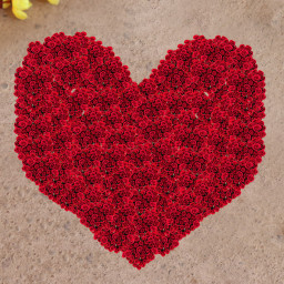 Cloud Nine Present - Red rose arrangement