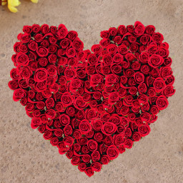 Joyful Bouquet - Red rose arrangement