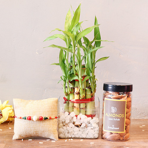 2 Layer Lucky bamboo, 1 Rakhi, 200 gm Almonds