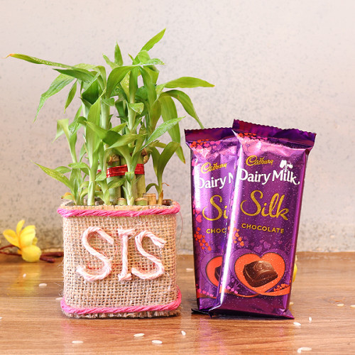 2 layer lucky bamboo, 2 Dairy milk silk