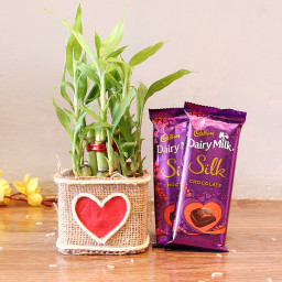 2 layer lucky bamboo, 2 Dairy milk silk