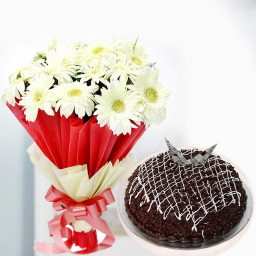 White Gerbera Chocolates Combo: A Gift Combo of 10 White Gerbera and 0.5 Kg Chocolate Cake