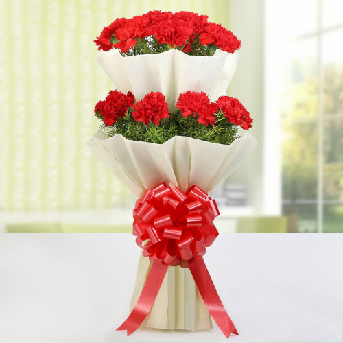 Carnation In Tiers - Red carnation bouquet