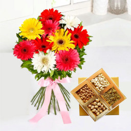 Authentic Bow Of happiness: A Gift Combo of 12 Mix Gerbera and 500 gm Dry Fruit Box