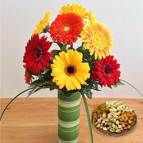 Plattered With Love: A Gift Combo of 10 Mix Gerberas in a Glass Vase and 500 gm Mix Dry Fruit Plate