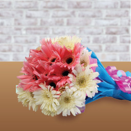 Devine Beauty - White gerberas bouquet