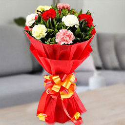 10 Mixed Carnations in Red Paper