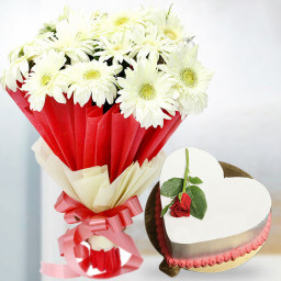 Vanilla in Heaven: A Gift Combo of 12 White Gerberas and 0.5 kg Heart-Shaped Vanilla Cake with Fresh Rose on Top