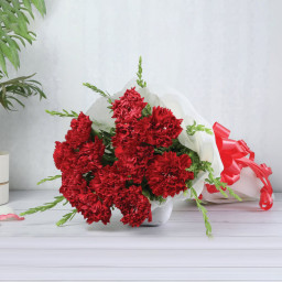 Classic Elegance - Red carnation bouquet