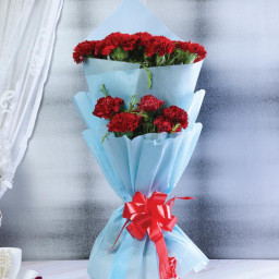 Crimson Cascade - Red carnation bouquet