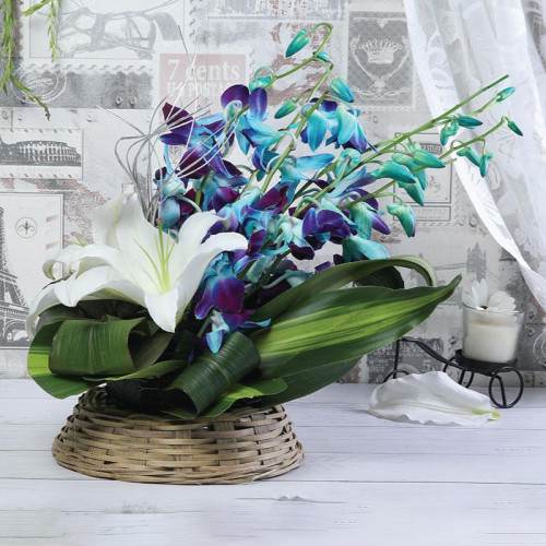 Sapphire Lily Symphony - White orchid basket