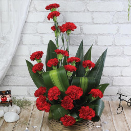 Crimson Charm - Red carnation basket