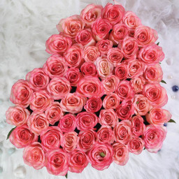 Blushing Heartbeat - Pink rose bouquet