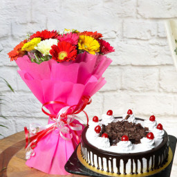Colorful Indulgence: A Gift Combo of 15 Mixed Gerberas and 0.5 kg Black Forest Cake