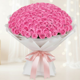 1000 Pink Roses