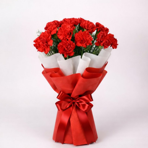 Adorably Satisfying - Red carnation bouquet