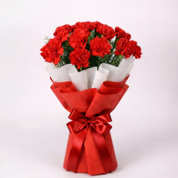 Adorably Satisfying - Red carnation bouquet