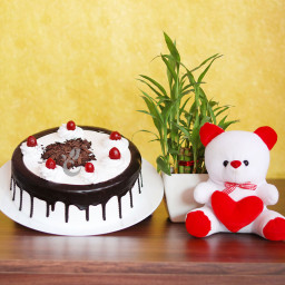Lucky Love: A Gift Combo of 6 Inch Teddy, 0.5 Kg Black Forest Cake and Lucky Bamboo Plant