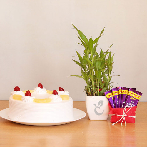 Sweet and Lucky: A Gift Combo of 5 Dairy Milk, 0.5 Kg Pineapple Cake and Lucky Bamboo Plant