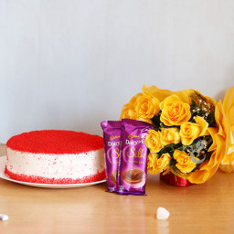 Sweet Cravings: A Gift Combo of 12 Yellow Roses, 0.5 Kg Red Velvet Cake and 2 Dairy Milk Silk