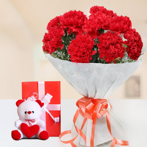 Smile Please: A Gift Combo of 12 Carnation, 6 Inch Teddy, and One Greeting Card