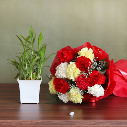 Lucky Carnations: A Gift Combo of 10 Mix Carnation and Lucky Bamboo