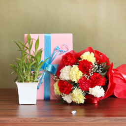 Portrayal of Love: A Gift Combo of 12 Mix Carnation, Lucky Bamboo, and Greeting Card