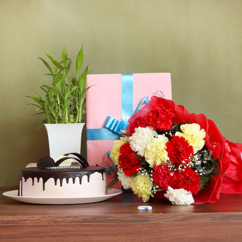 Impression of Love: A Gift Combo of 12 Mix Carnation, Lucky Bamboo, Greeting Card, and 0.5 Kg Chocolate Cake
