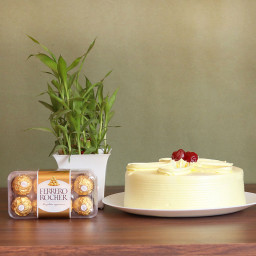 Luck Factor: A Gift Combo of 16 Ferrero Rocher, 0.5 Kg Butterscotch Cake, and Lucky Bamboo