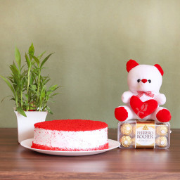 Pure Love: A Gift Combo of 16 Ferrero Rocher, 0.5 Kg Red Velvet Cake, 6 Inch Teddy, and Lucky Bamboo