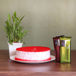 Tempting Regard: A Gift Combo of 0.5 Kg Red Velvet Cake, 2 Temptations, and Lucky Bamboo