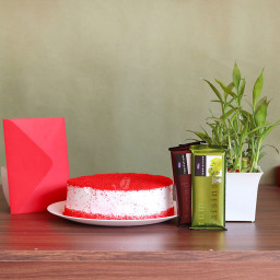 Enamored Bundle: A Gift Combo of 0.5 Kg Red Velvet Cake, 2 Temptations, Lucky Bamboo, and One Greeting Card