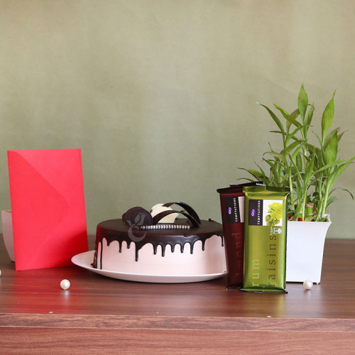 Felicitating Deed: A Gift Combo of 0.5 Kg Chocolate Cake, 2 Temptations, Lucky Bamboo, and One Greeting Card