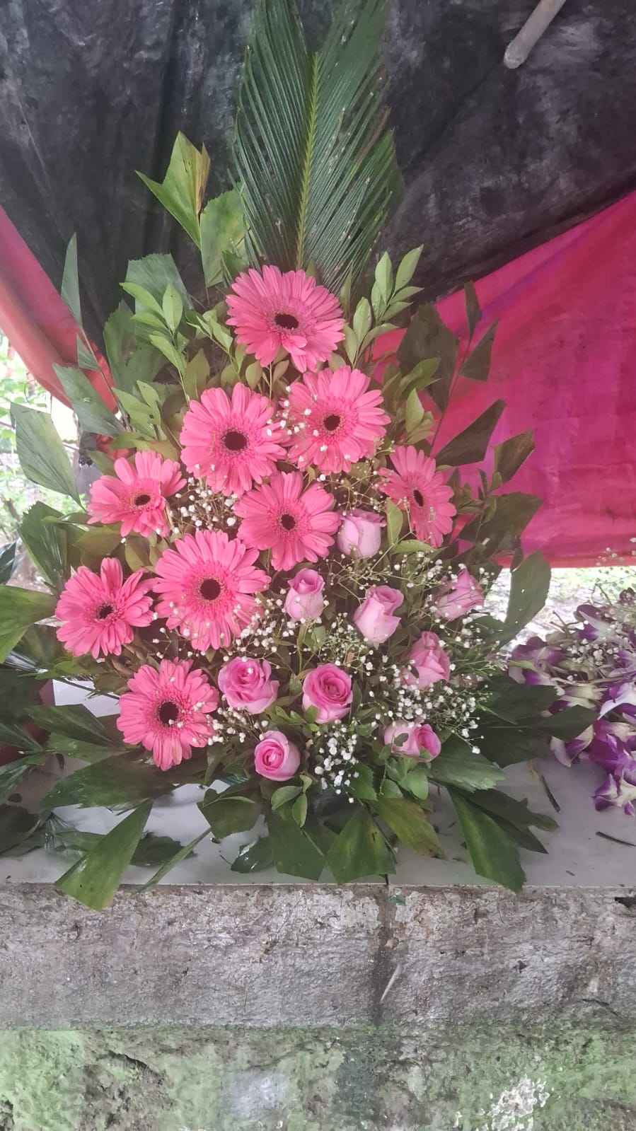 Fresh and Stunning