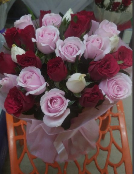 Beautiful Presentation