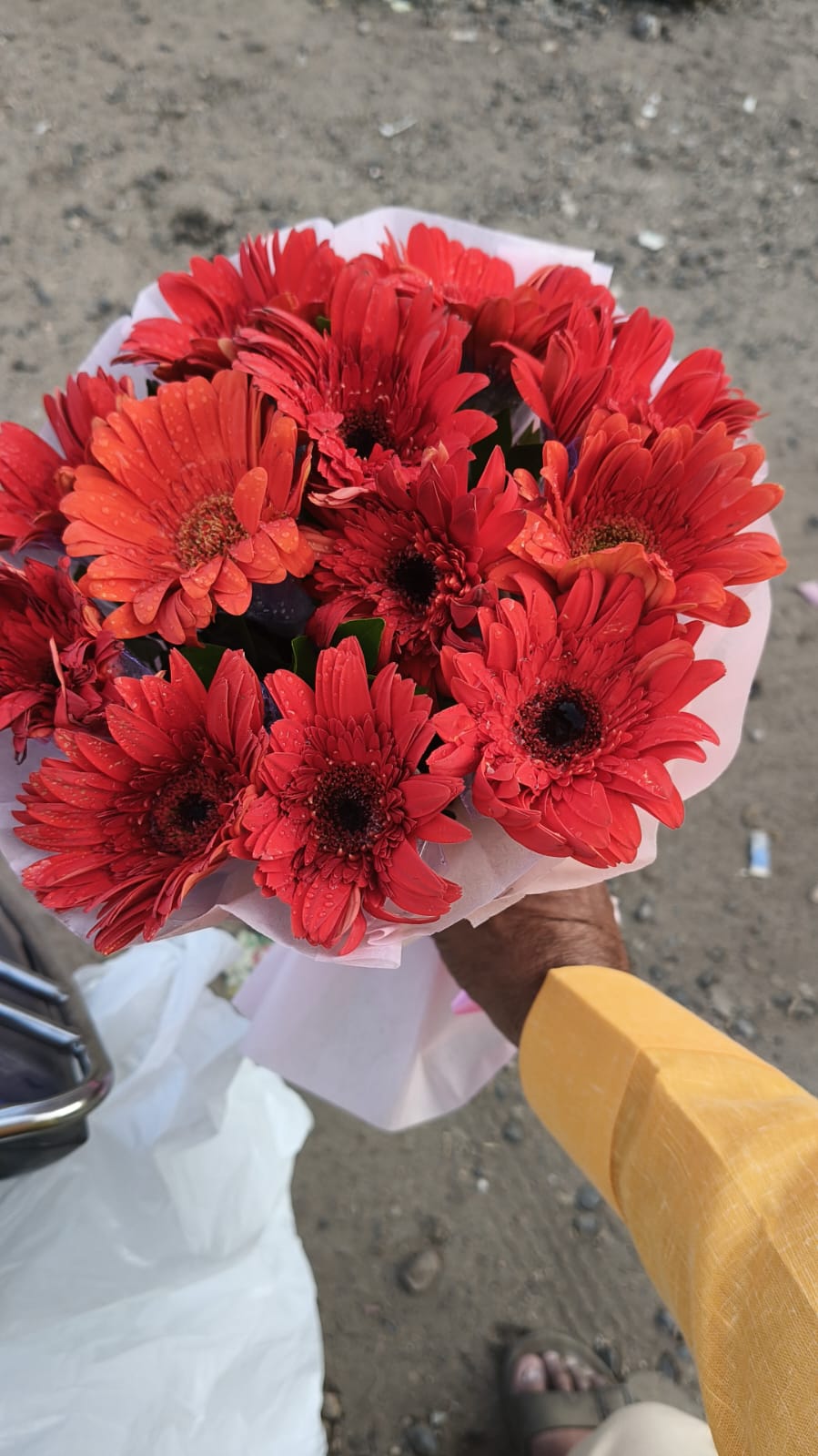 Perfect Birthday Surprise