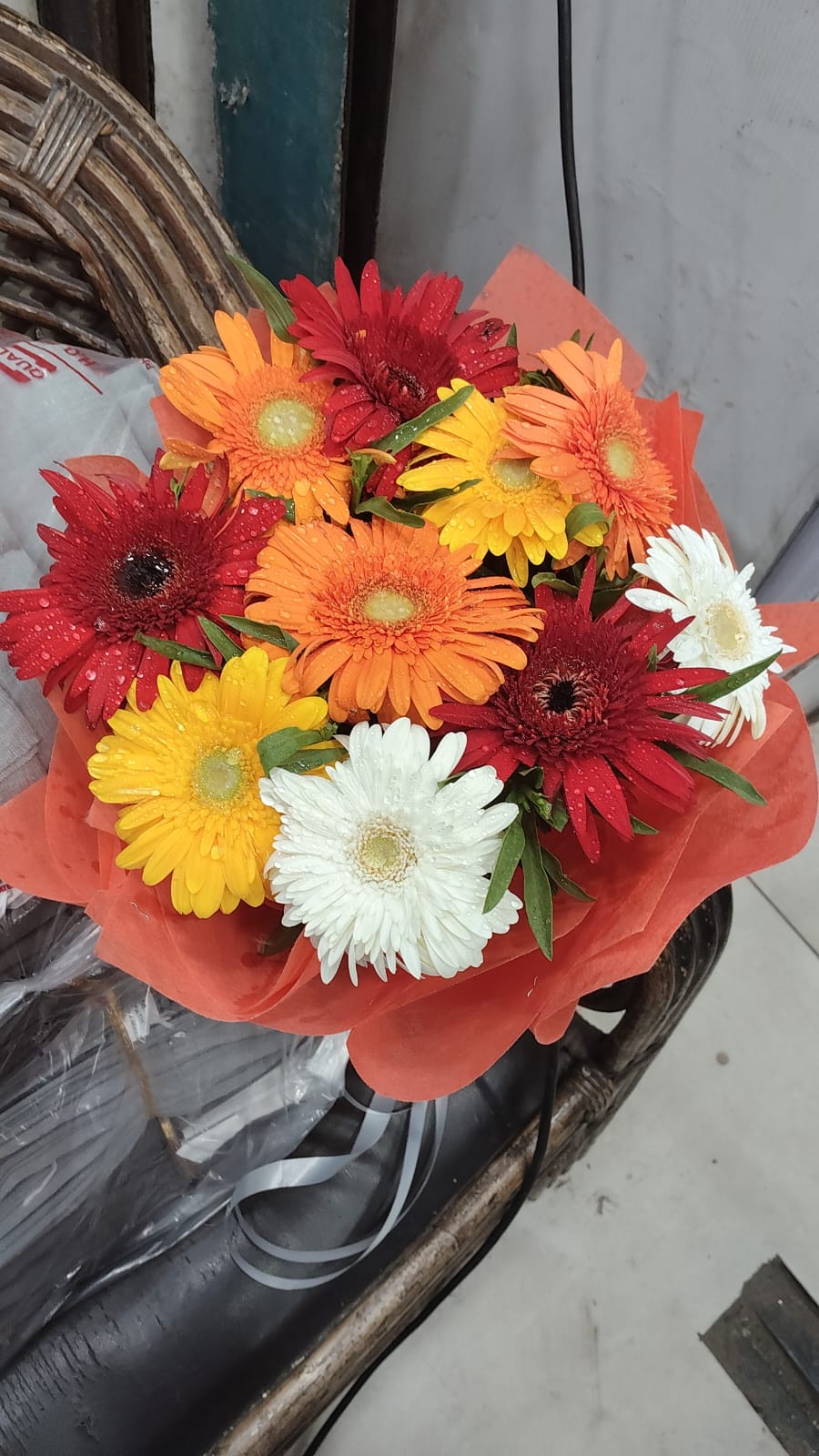 Beautiful Surprise