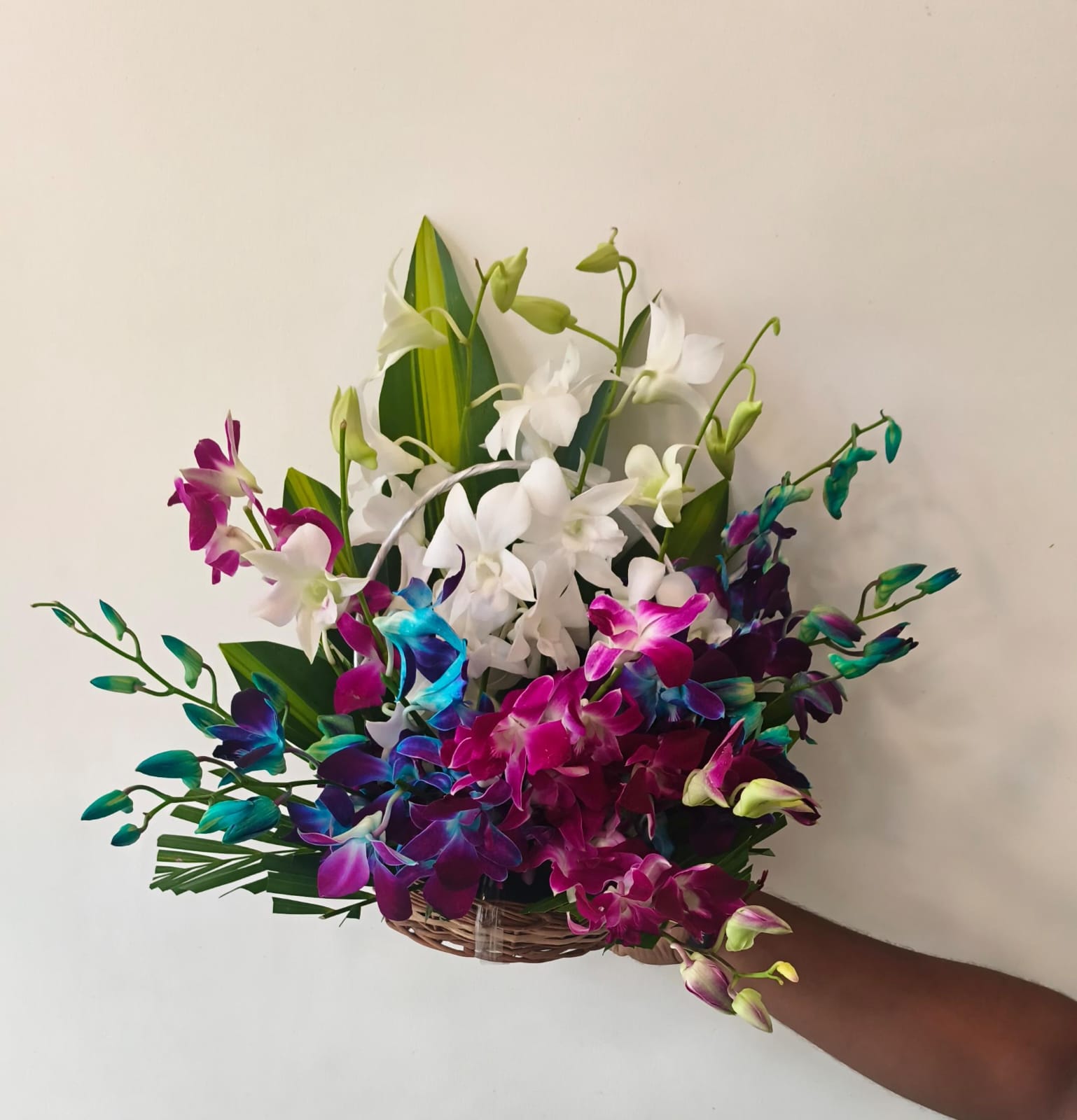 Customer review image