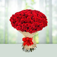 New Year Flower New Year Flower